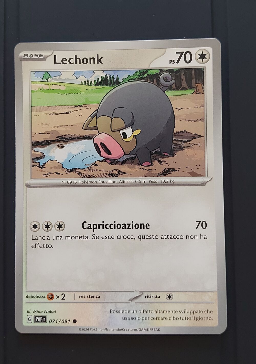 LECHONK