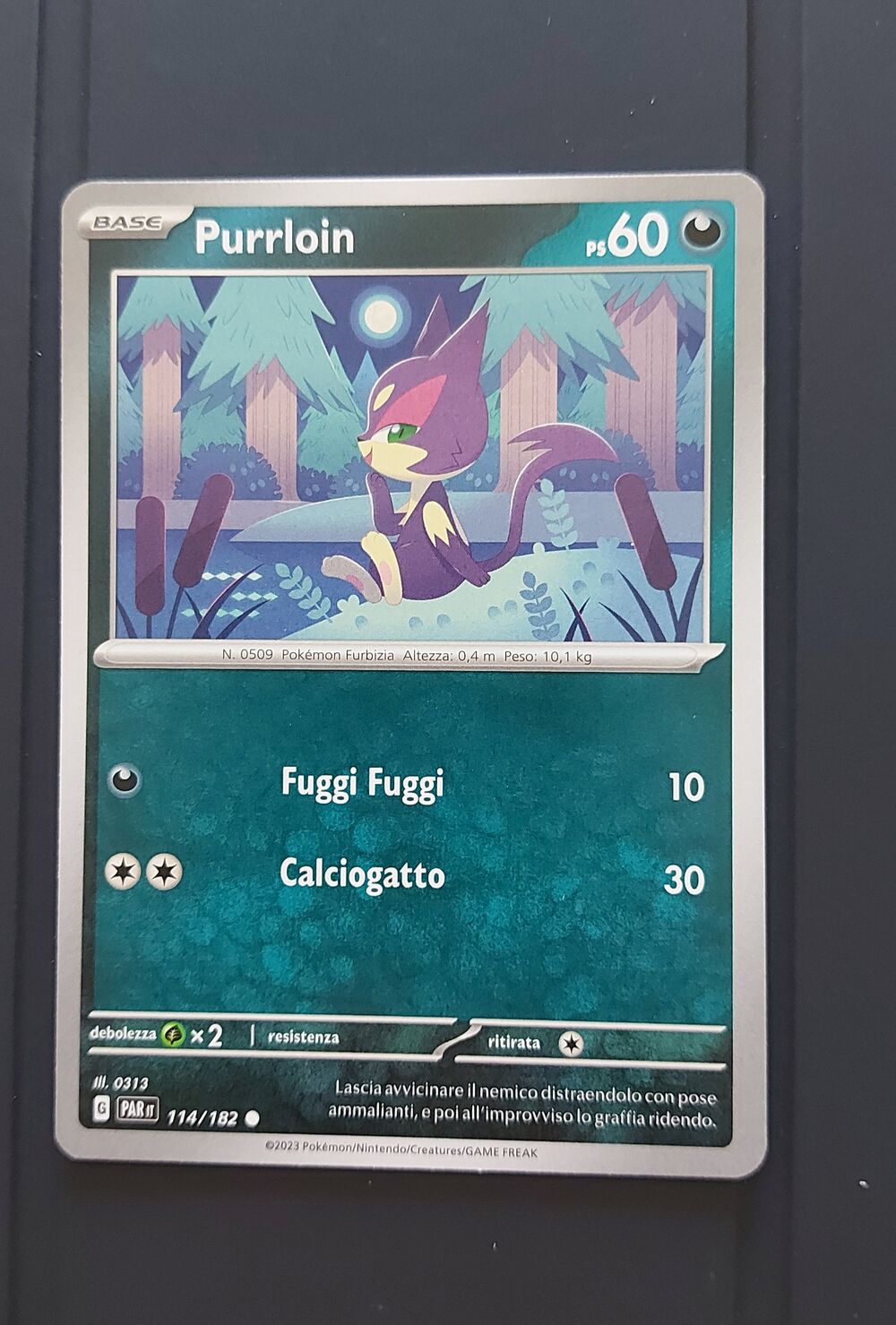 PURRLOIN