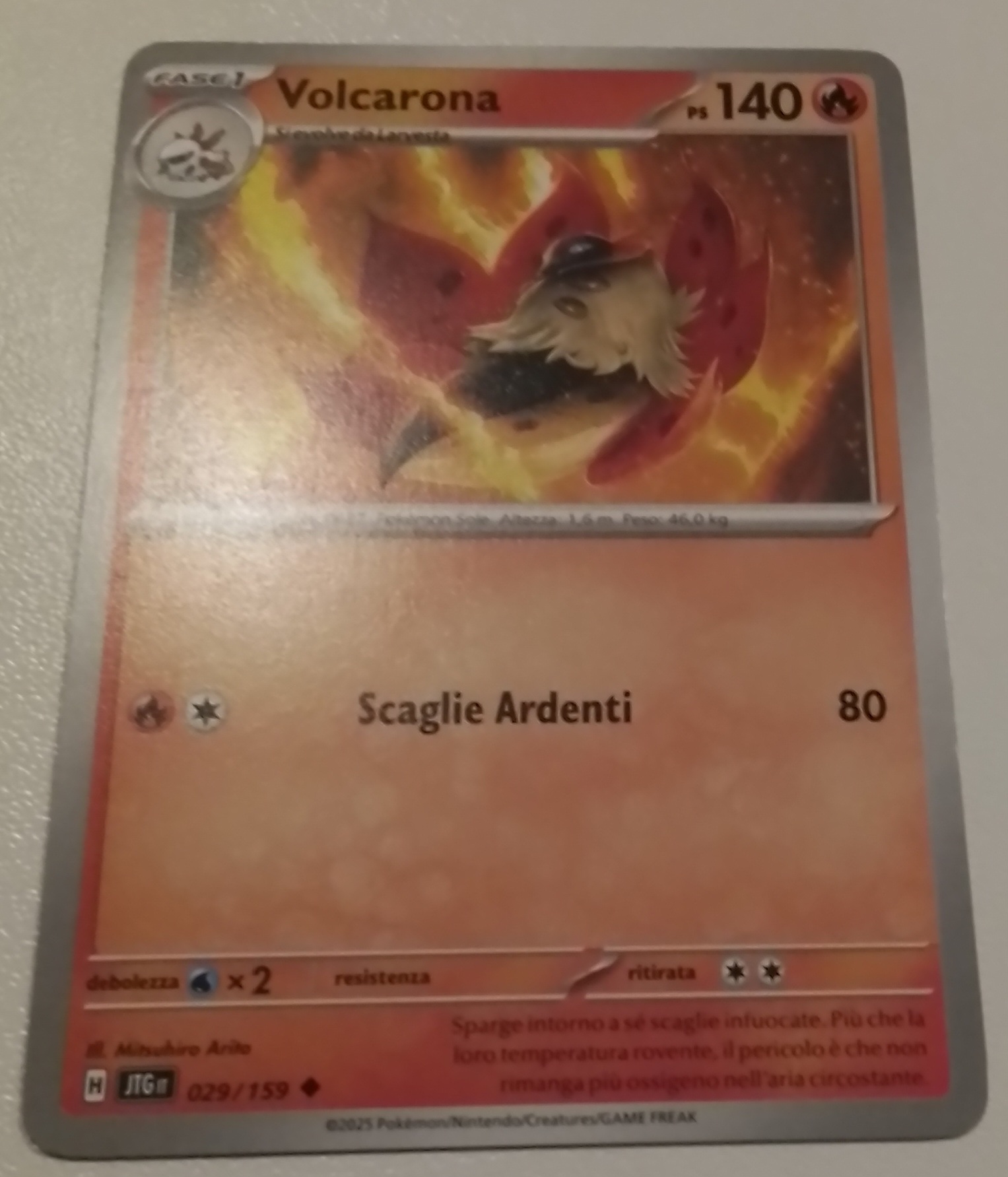 VOLCARONA